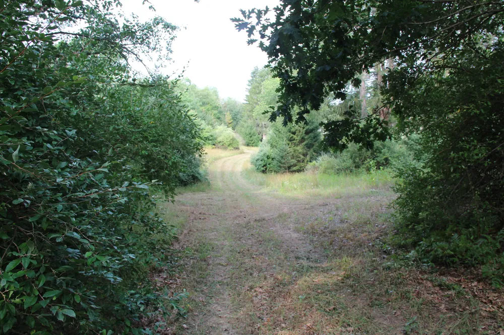 E Chauvez Road Custer, MI 49405