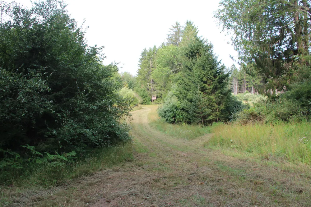 E Chauvez Road Custer, MI 49405