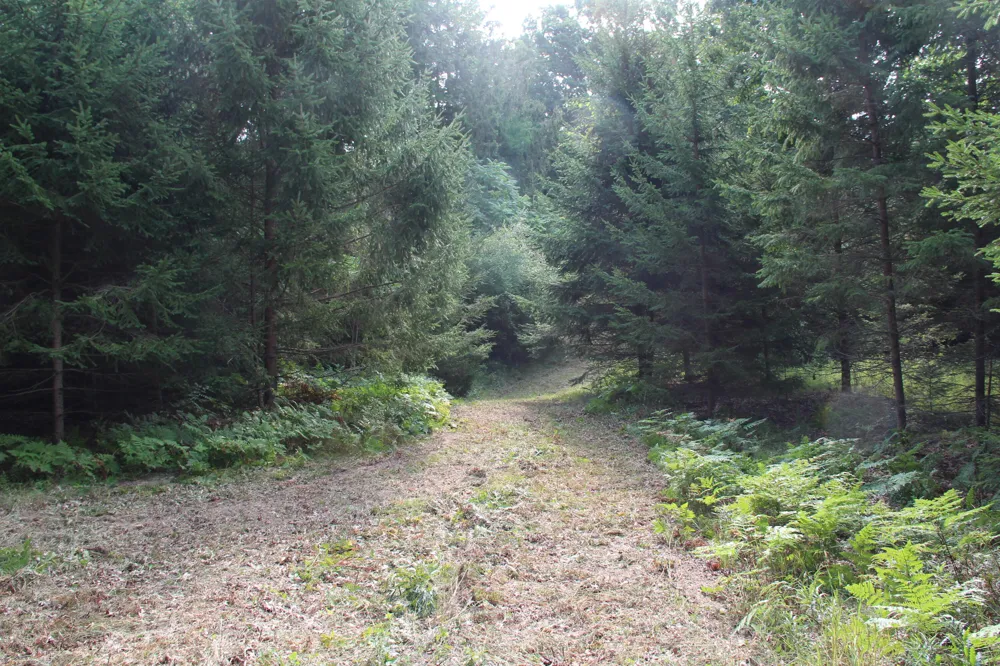 E Chauvez Road Custer, MI 49405