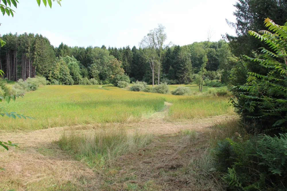 E Chauvez Road Custer, MI 49405