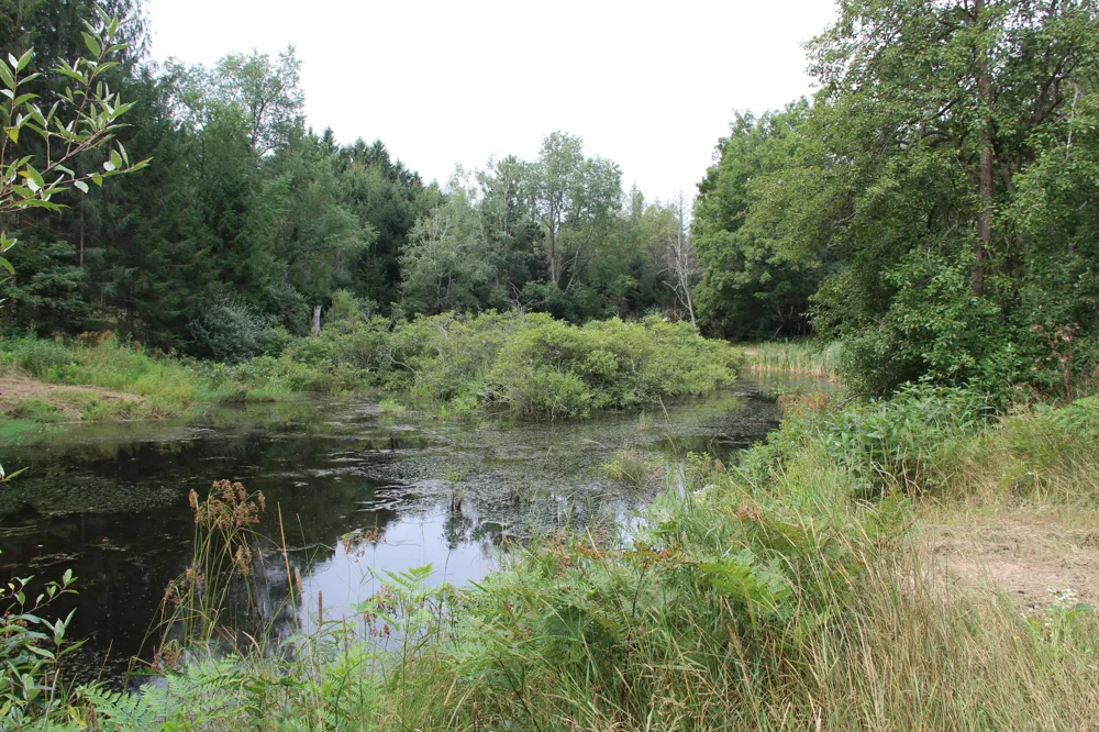 E Chauvez Road Custer, MI 49405