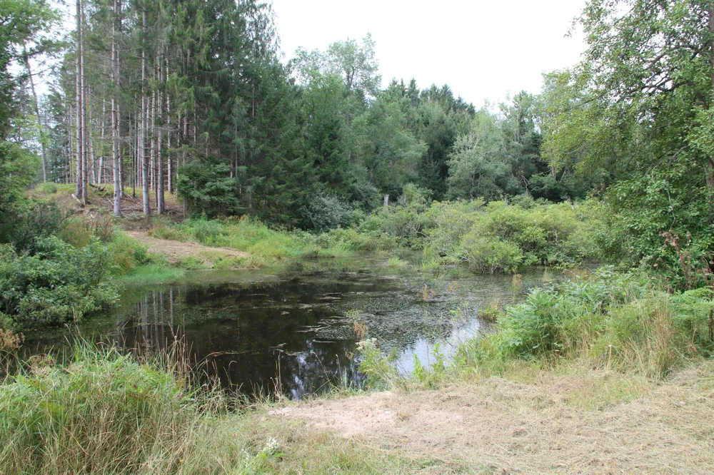 E Chauvez Road Custer, MI 49405