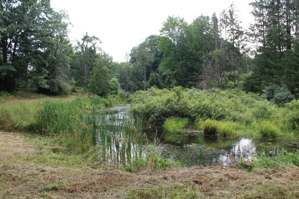 E Chauvez Road Custer, MI 49405