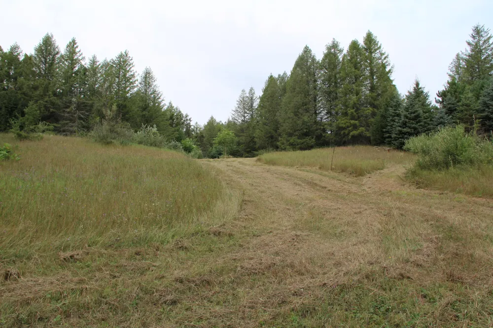 E Chauvez Road Custer, MI 49405