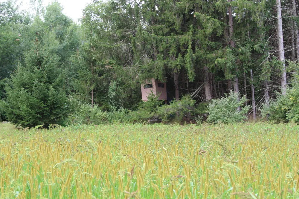 E Chauvez Road Custer, MI 49405