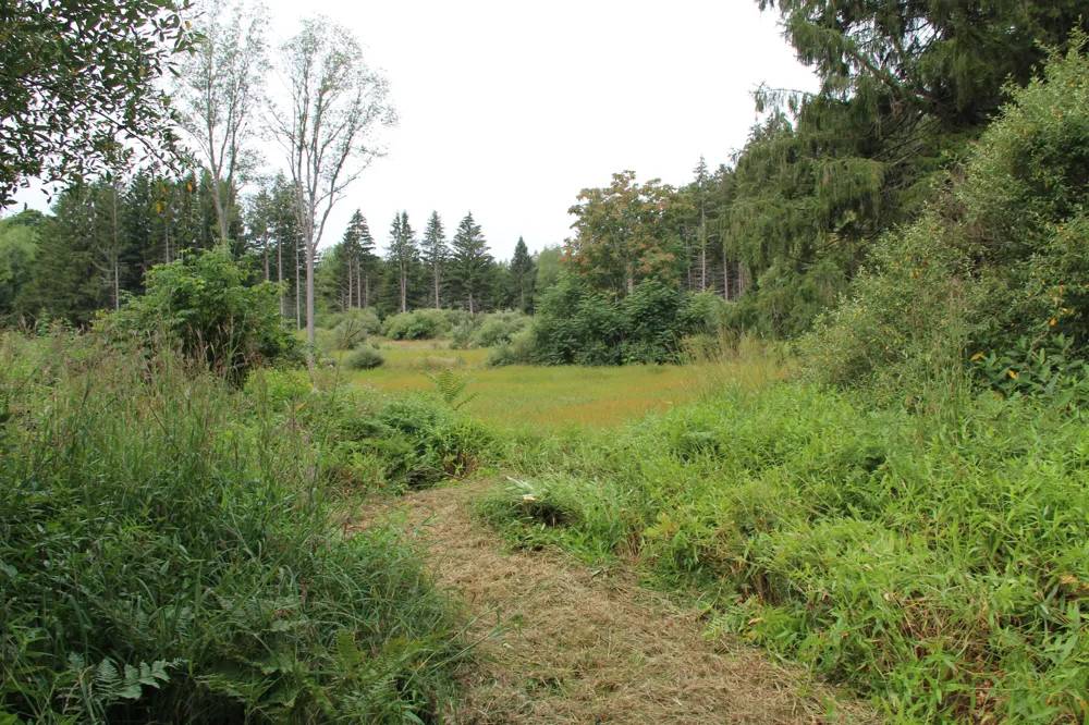 E Chauvez Road Custer, MI 49405