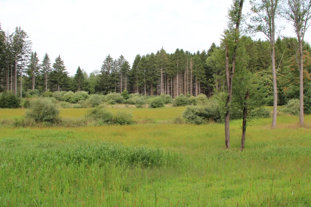 E Chauvez Road Custer, MI 49405