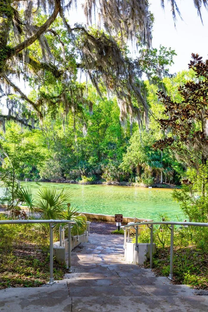 24252 NE 152ND LANE Fort Mc Coy, FL 32134