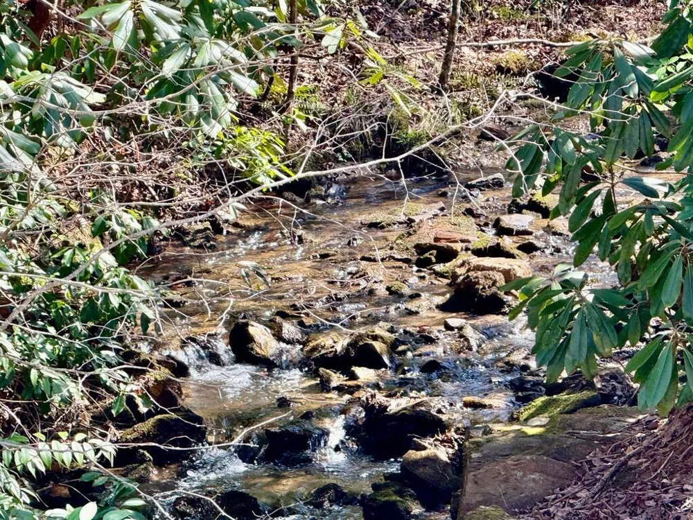 Lot 5 Wild Laurel Brasstown, NC 28902