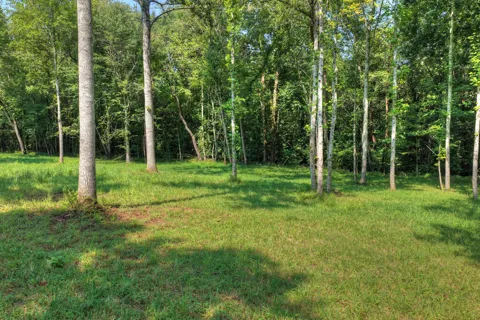 1.35 ac Wolf Creek Road