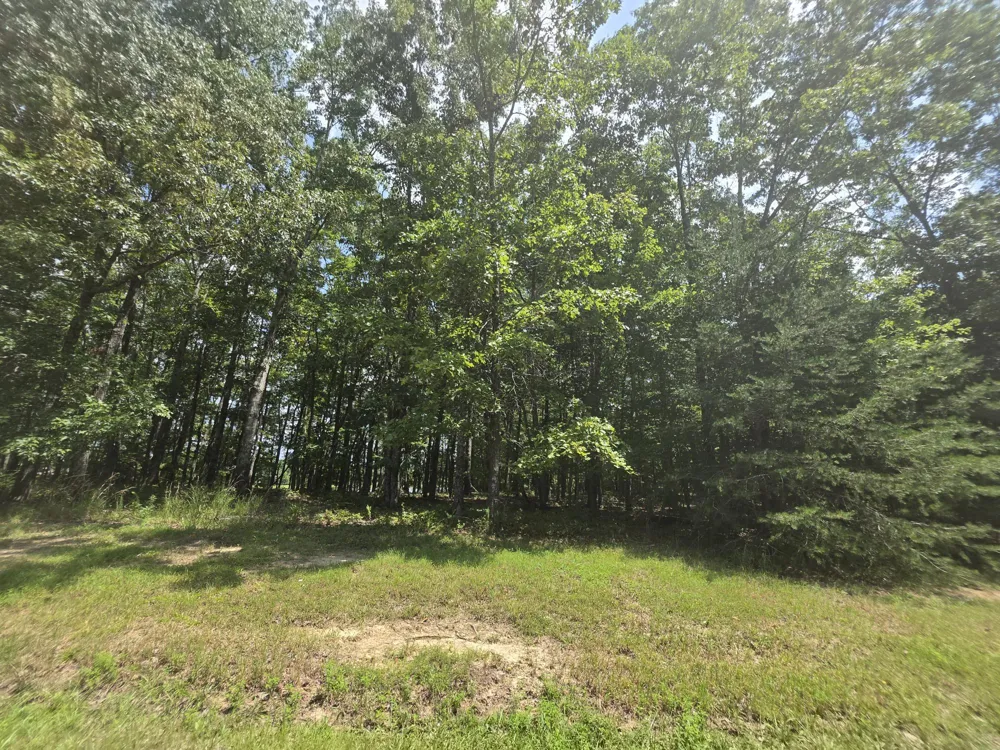 132 Camp Creek Circle Spencer, TN 38585