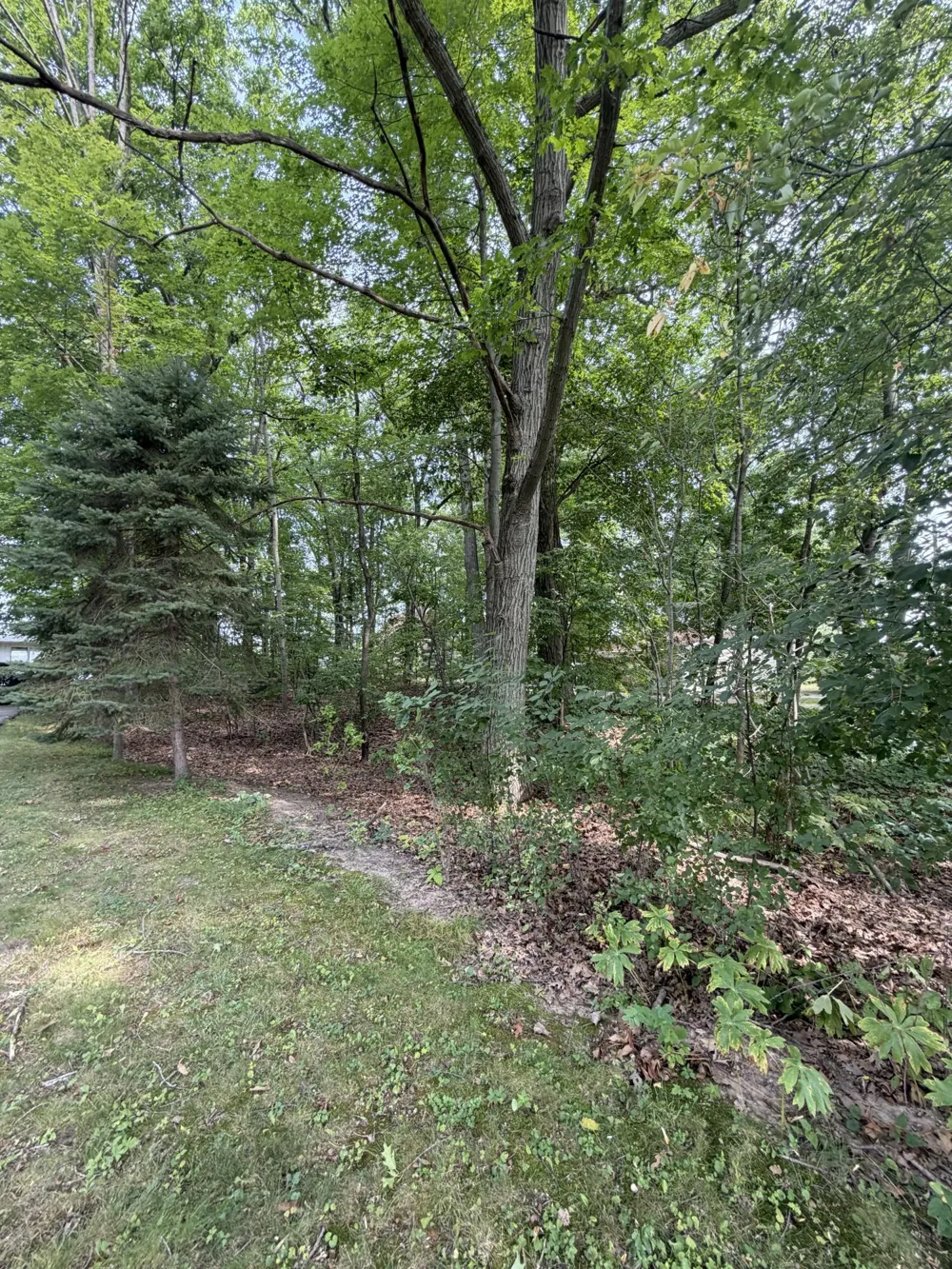 S Deer Point Drive Newaygo, MI 49337