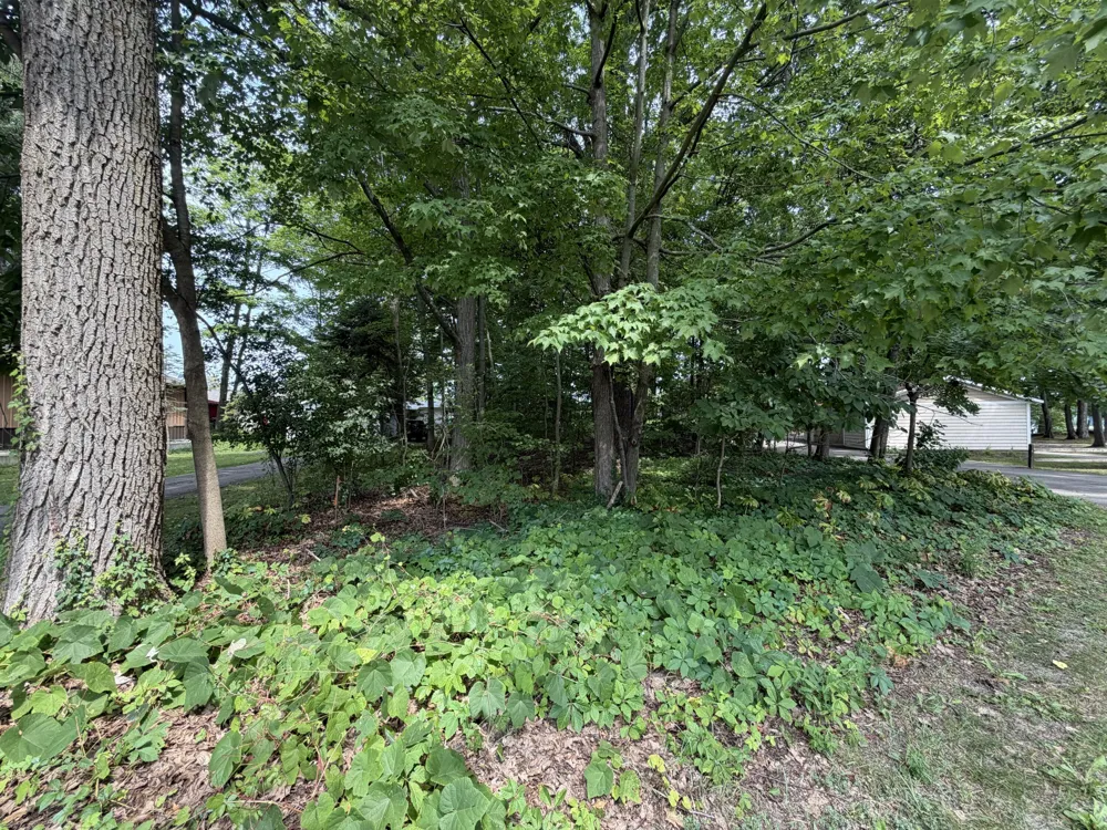 S Deer Point Drive Newaygo, MI 49337