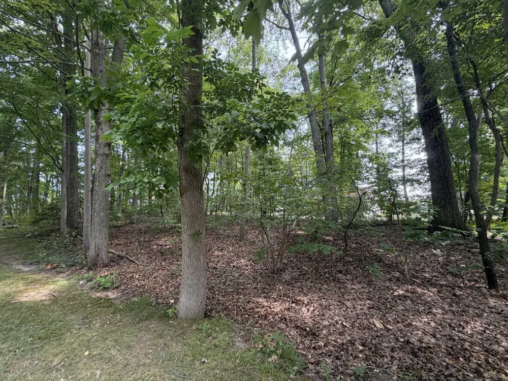 S Deer Point Drive Newaygo, MI 49337