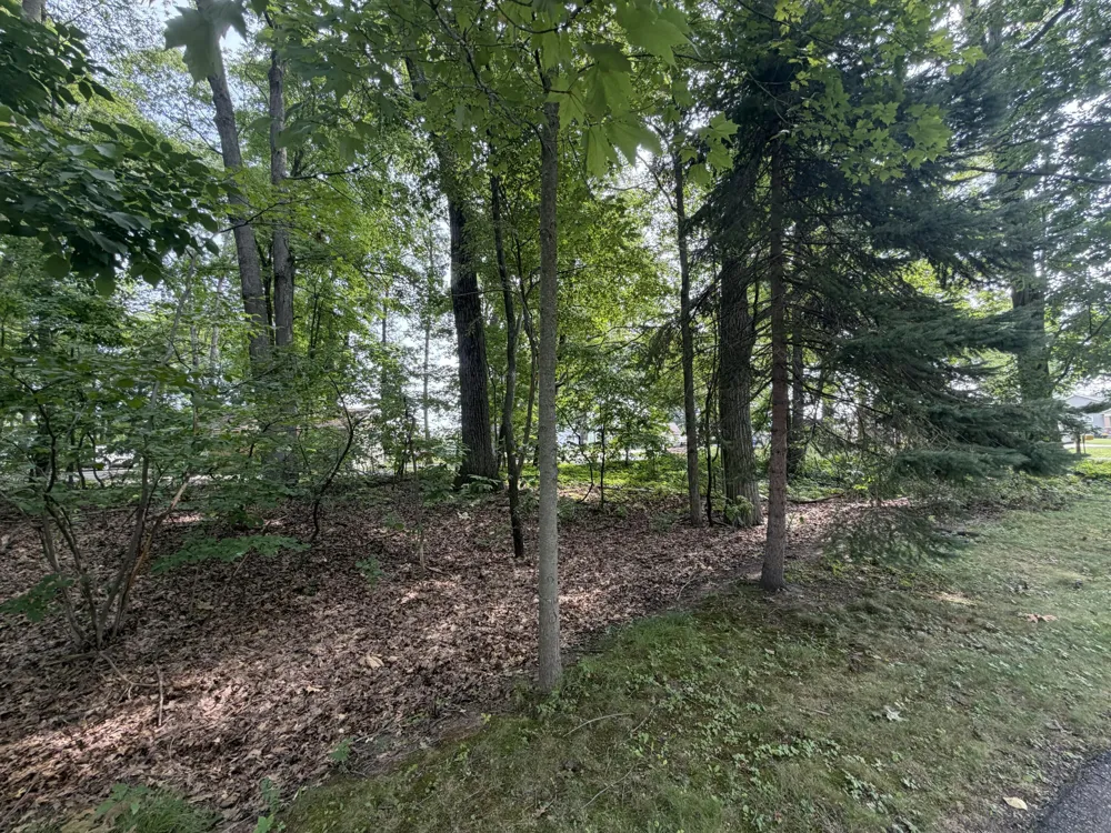 S Deer Point Drive Newaygo, MI 49337