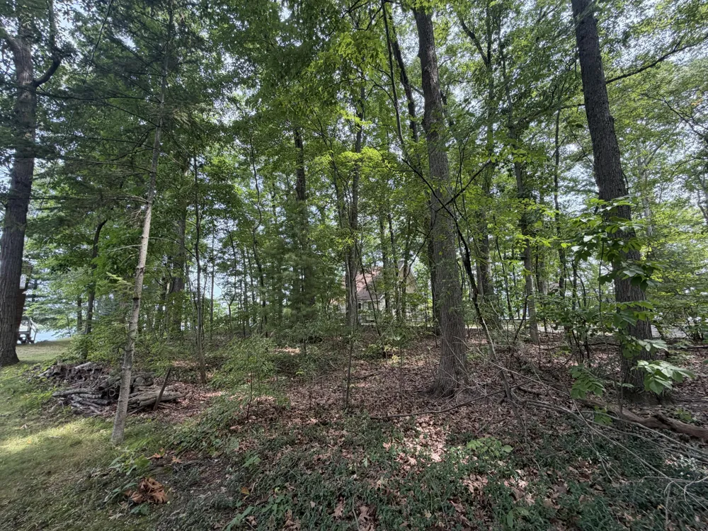 S Deer Point Drive Newaygo, MI 49337