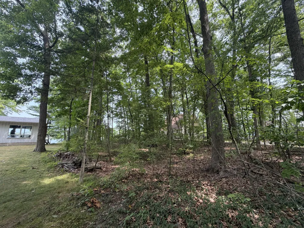 S Deer Point Drive Newaygo, MI 49337