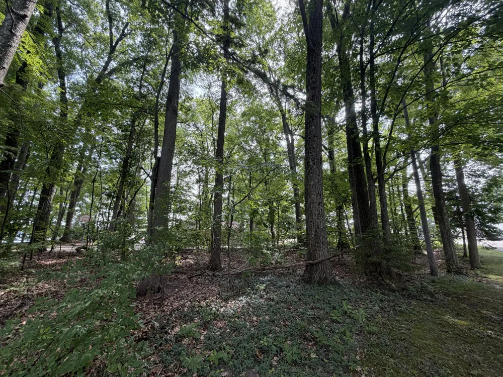 S Deer Point Drive Newaygo, MI 49337