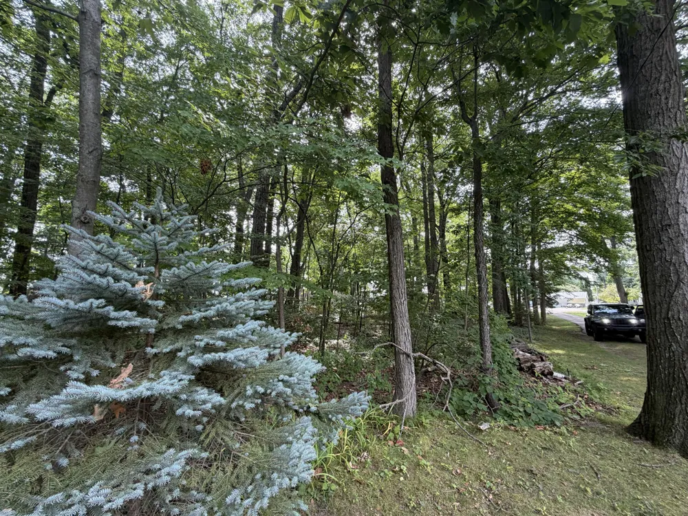 S Deer Point Drive Newaygo, MI 49337