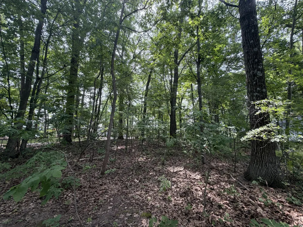S Deer Point Drive Newaygo, MI 49337