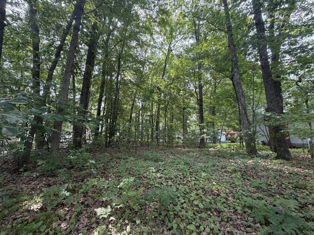 S Deer Point Drive Newaygo, MI 49337