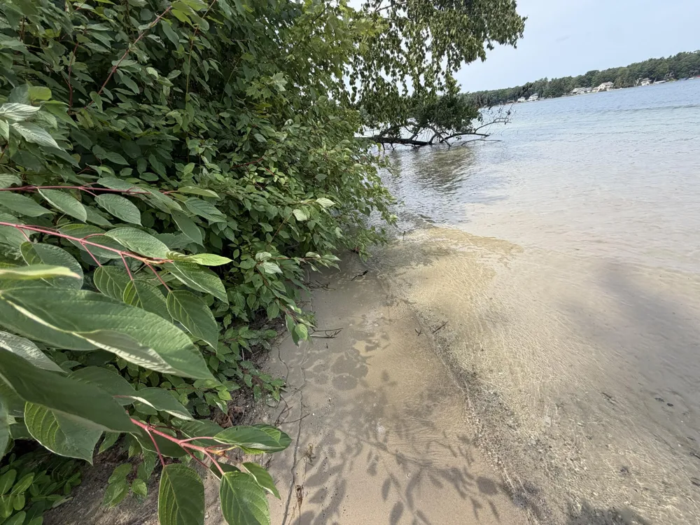 S Deer Point Drive Newaygo, MI 49337