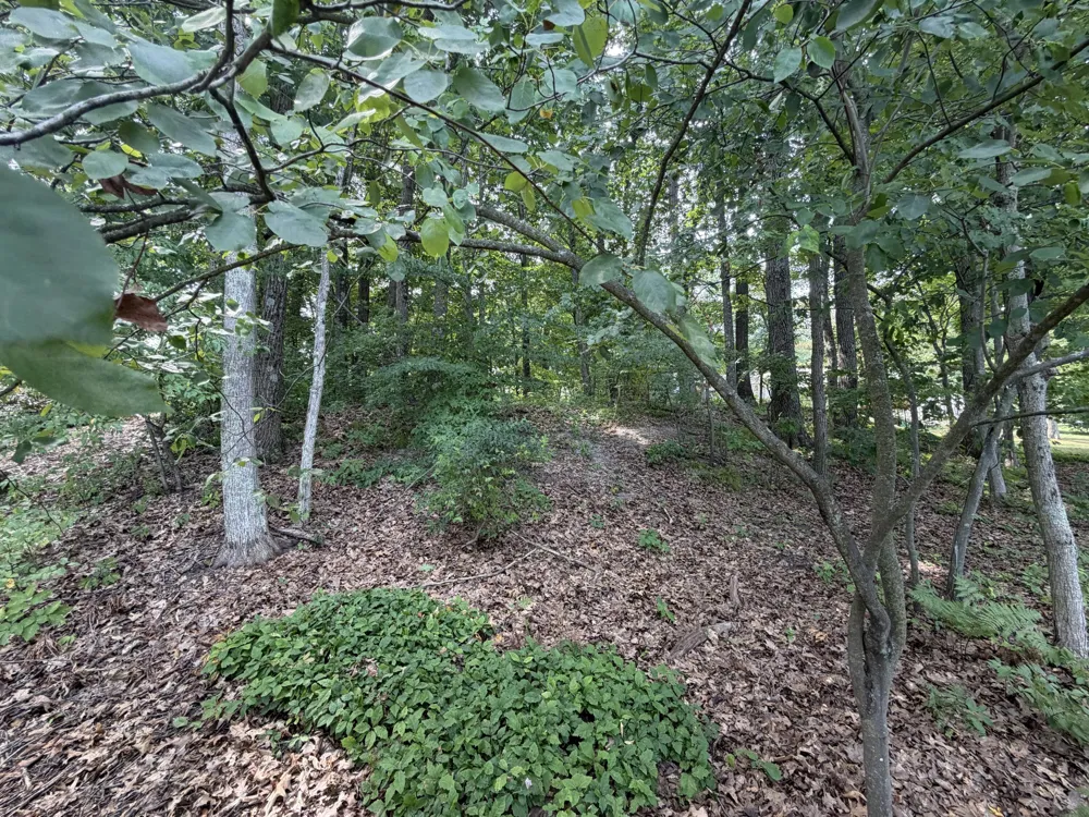 S Deer Point Drive Newaygo, MI 49337