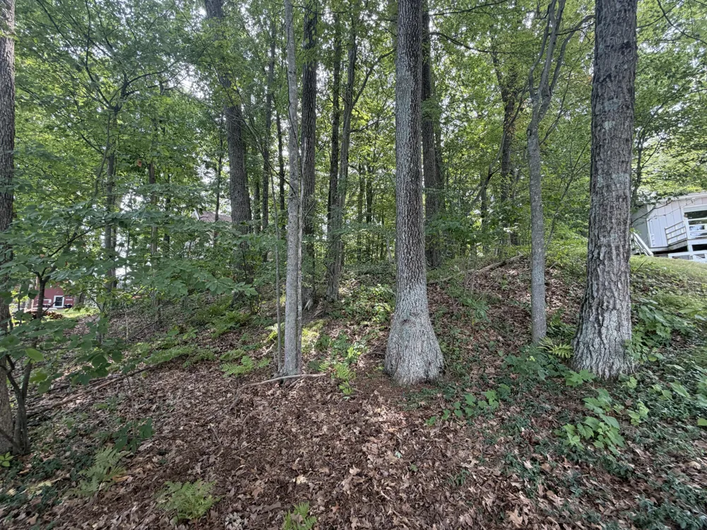 S Deer Point Drive Newaygo, MI 49337
