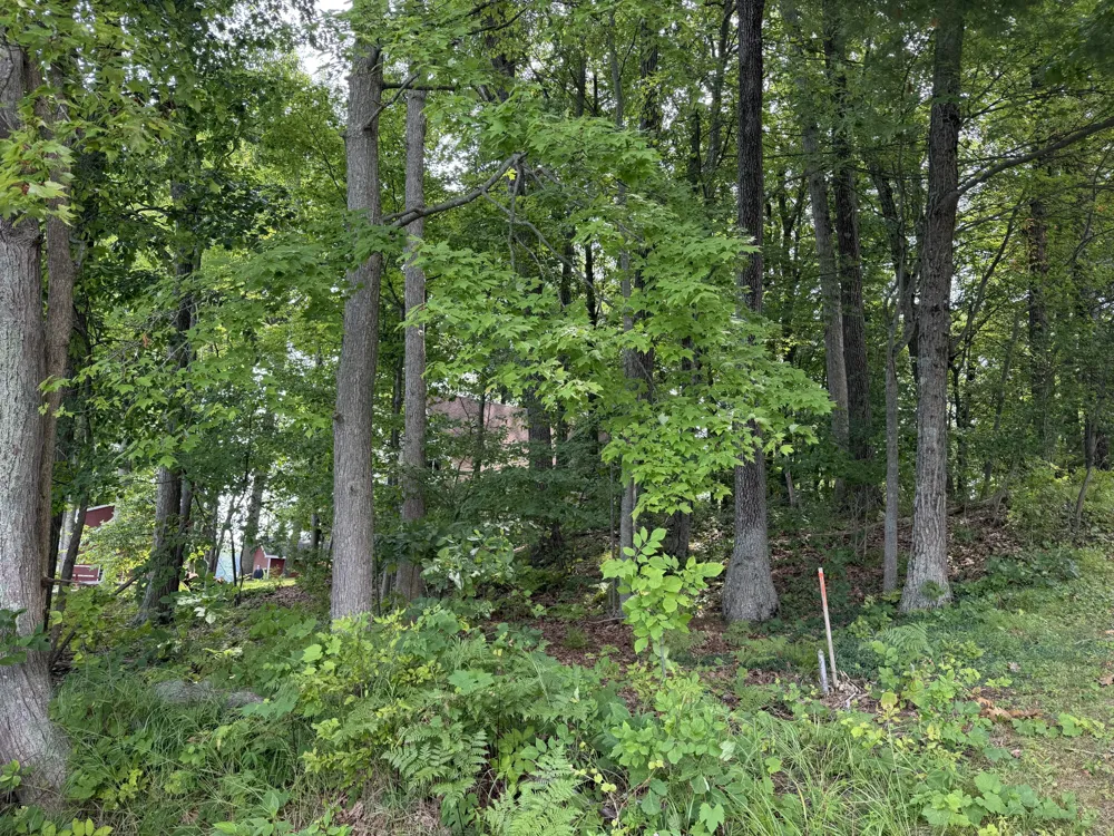 S Deer Point Drive Newaygo, MI 49337