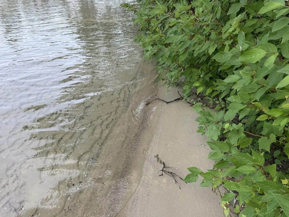 S Deer Point Drive Newaygo, MI 49337