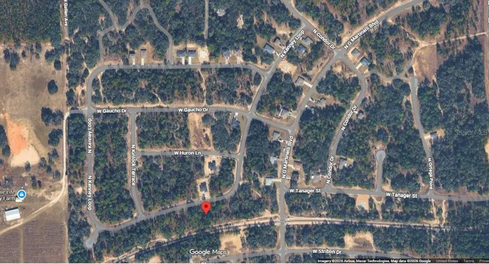 11345 KENNEY LOOP Citrus Springs, FL 34433