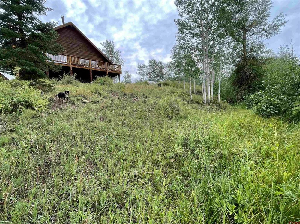 7231 Road 42.9 #Groundhog Vista Dolores, CO 81320