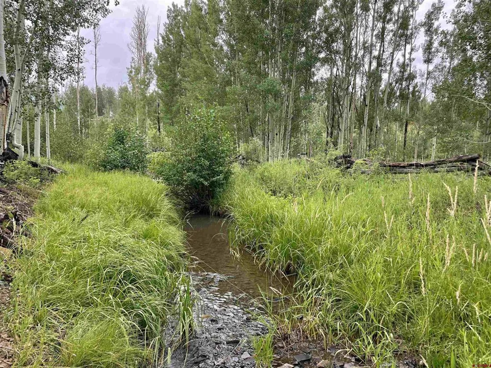 7231 Road 42.9 #Groundhog Vista Dolores, CO 81320