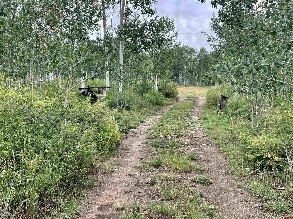 7231 Road 42.9 #Groundhog Vista Dolores, CO 81320