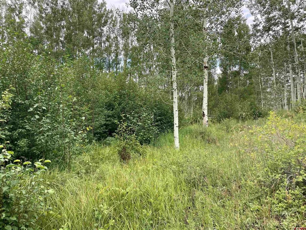7231 Road 42.9 #Groundhog Vista Dolores, CO 81320