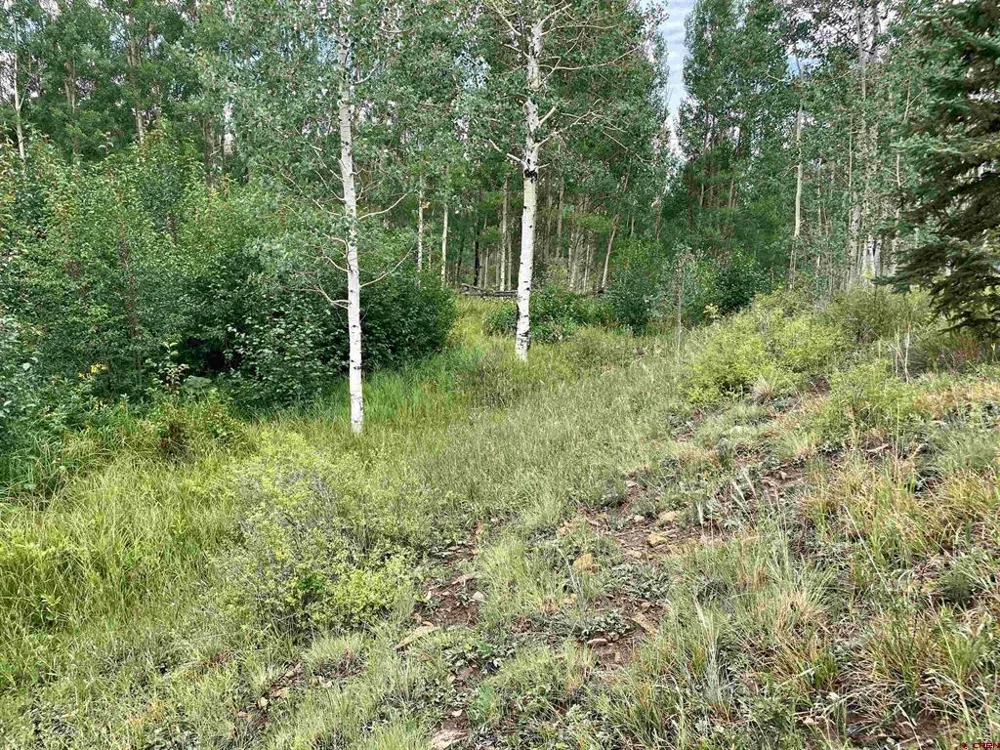 7231 Road 42.9 #Groundhog Vista Dolores, CO 81320