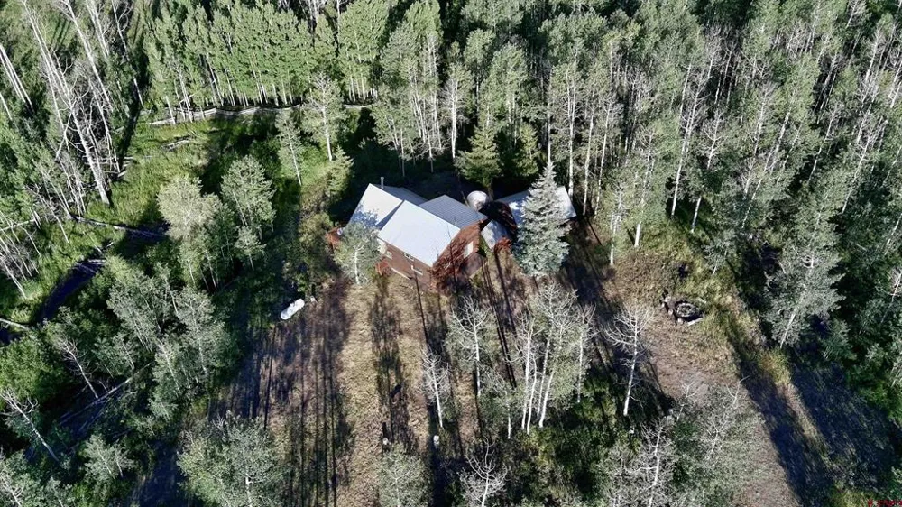 7231 Road 42.9 #Groundhog Vista Dolores, CO 81320