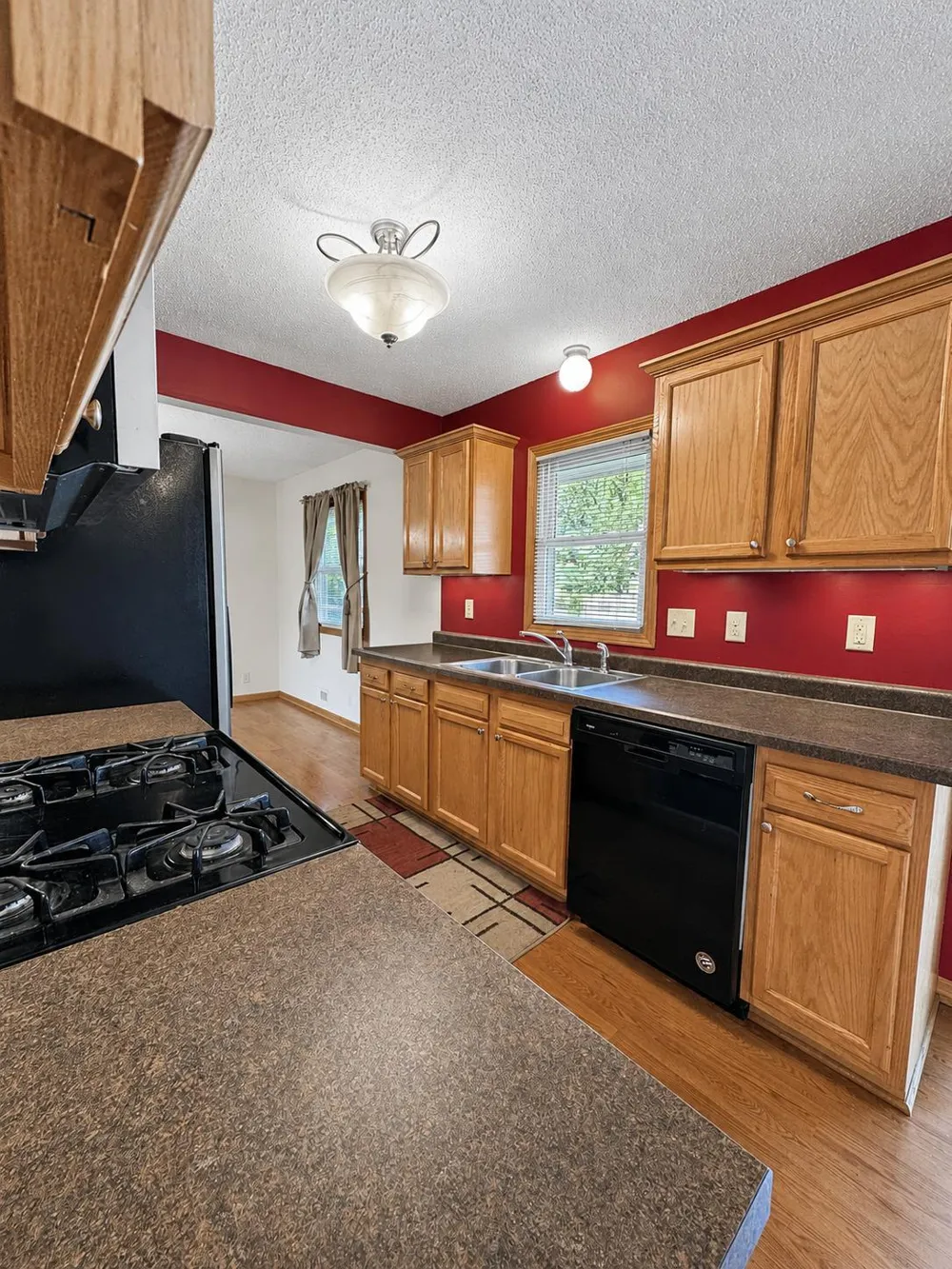 11219 Bittersweet Street NW Coon Rapids, MN 55433