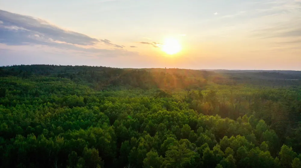 6991 Crane Lake Road Crane Lake, MN 55725