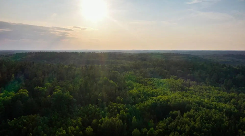 6991 Crane Lake Road Crane Lake, MN 55725