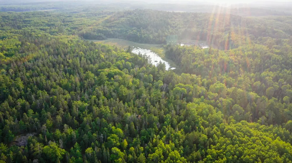 6991 Crane Lake Road Crane Lake, MN 55725