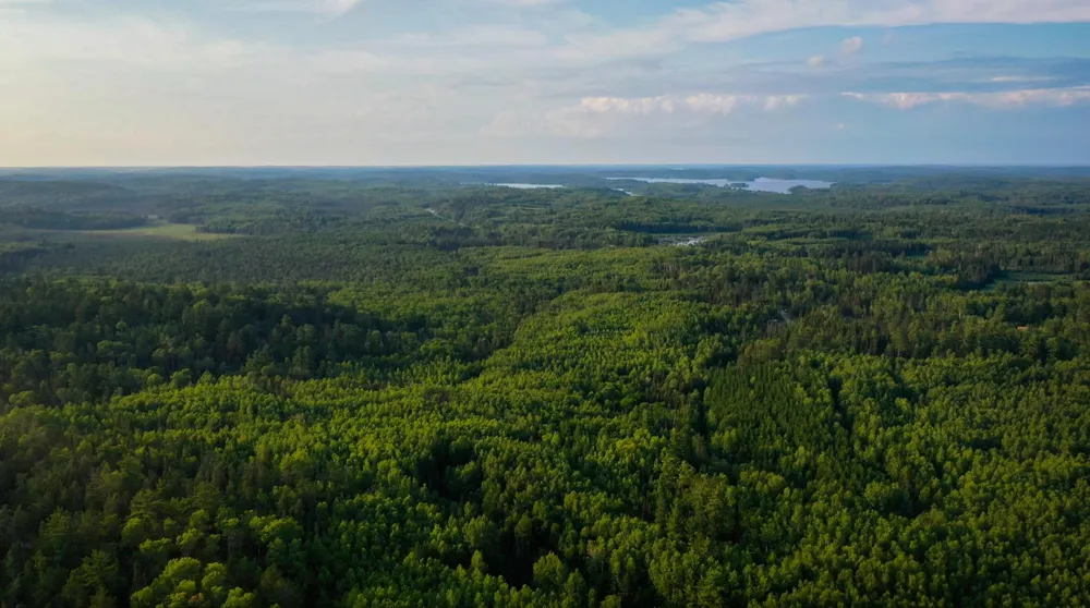 6991 Crane Lake Road Crane Lake, MN 55725