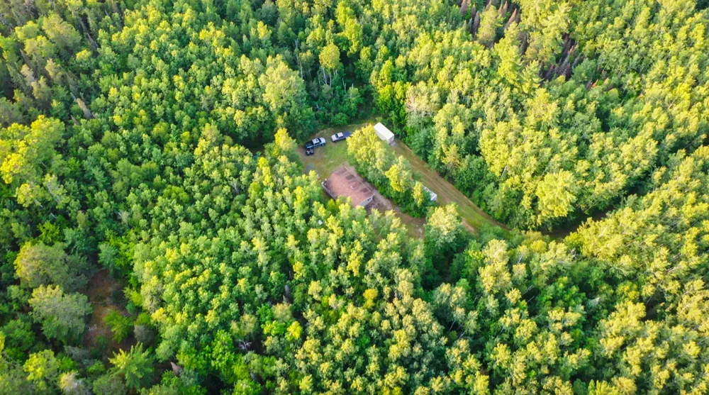 6991 Crane Lake Road Crane Lake, MN 55725