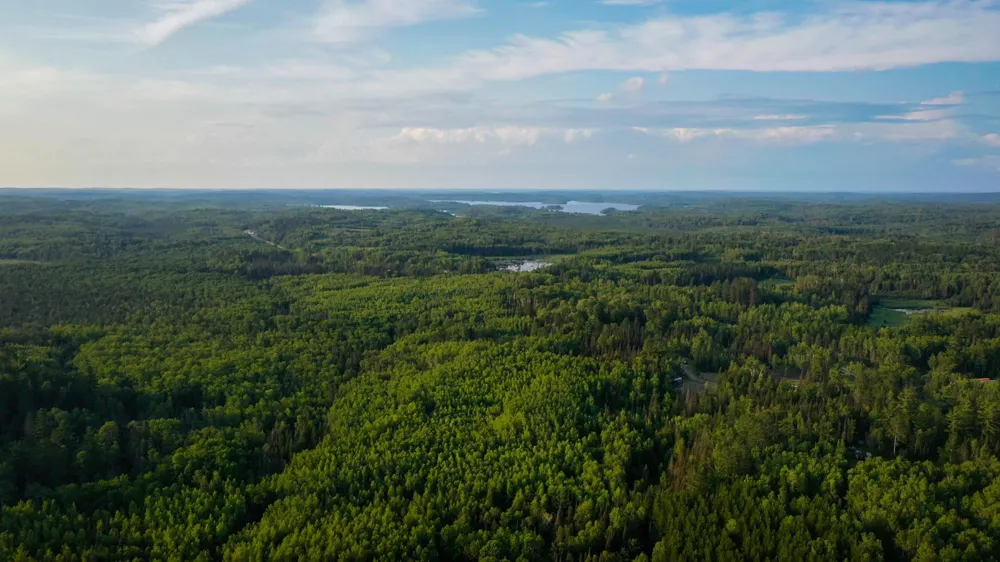 6991 Crane Lake Road Crane Lake, MN 55725