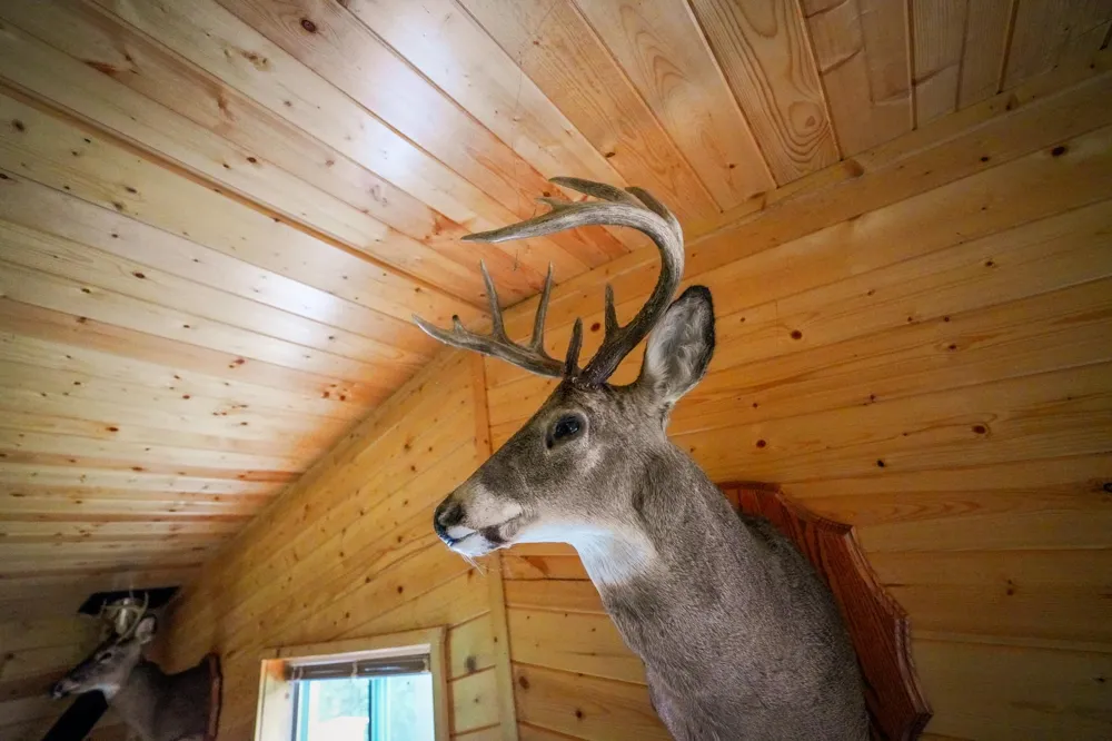 6991 Crane Lake Road Crane Lake, MN 55725