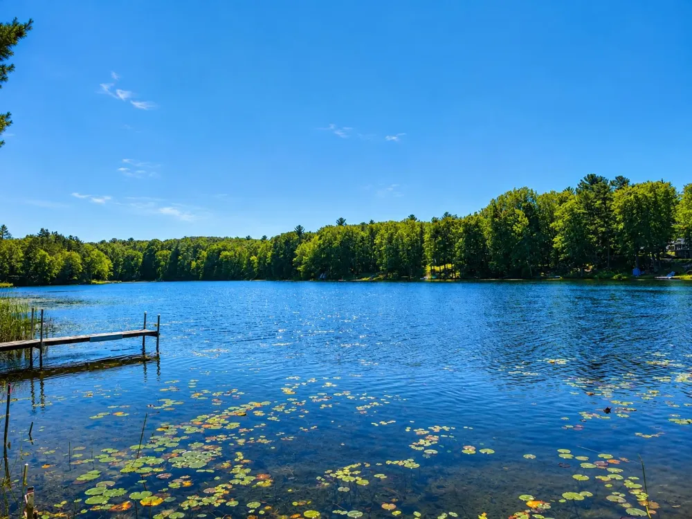 3340 Tibbets Drive East Bay Township, MI 49696