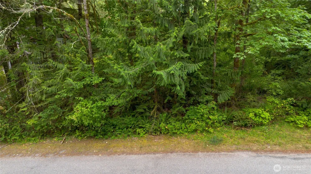 7449 Miller Way Glacier, WA 98244