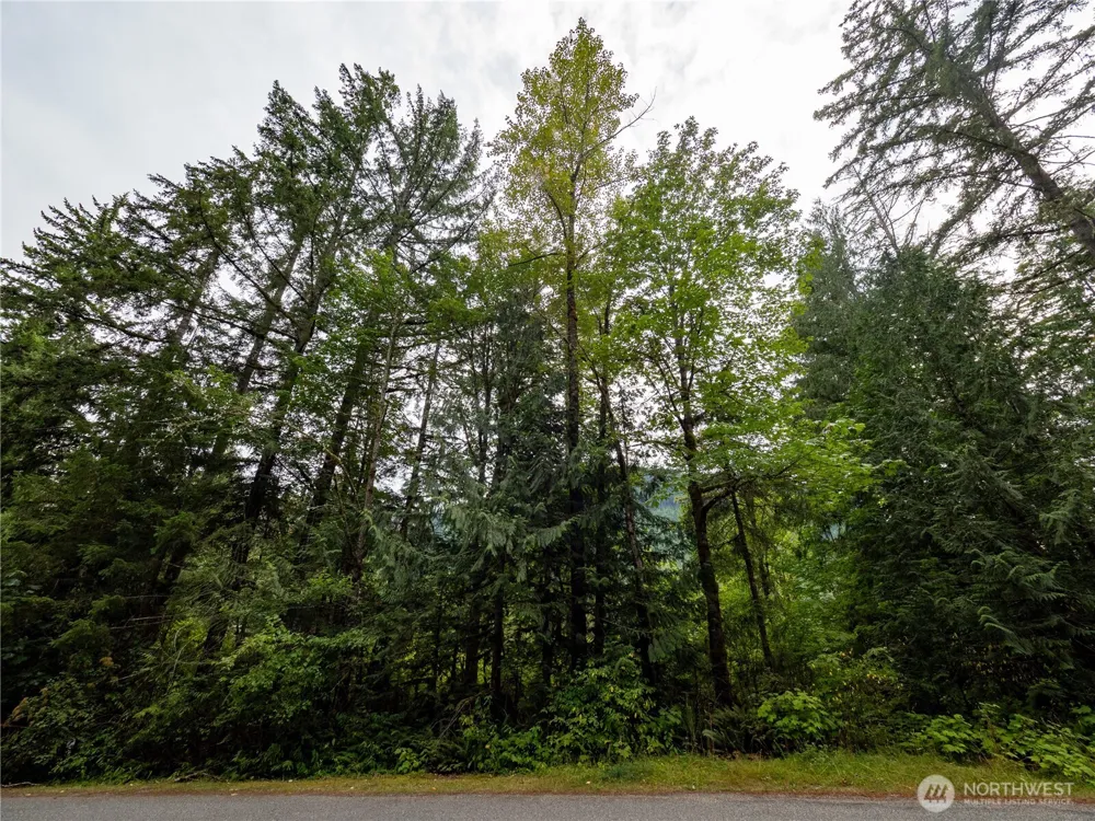 7449 Miller Way Glacier, WA 98244