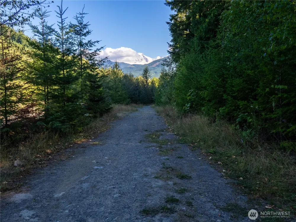 7449 Miller Way Glacier, WA 98244