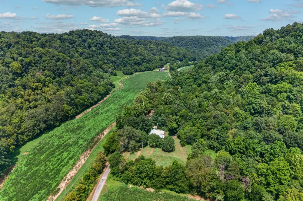 527 Ward Fork Rd Whitleyville, TN 38588